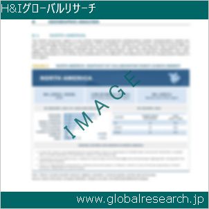 グローバルリサーチ調査レポートのイメージ